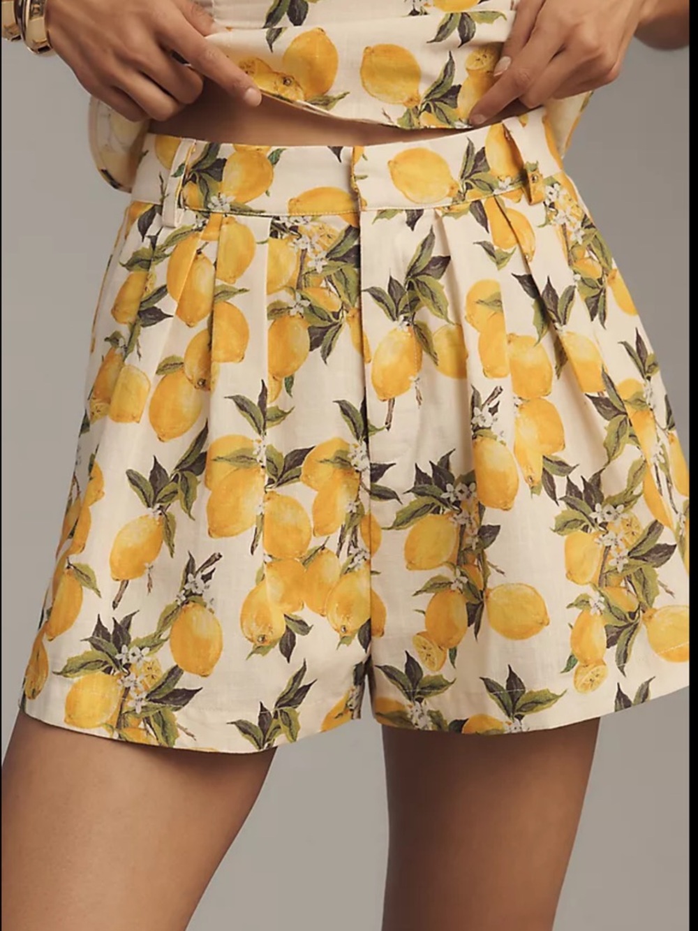 NWT En Saison Anthropologie Blanca Pleated Shorts